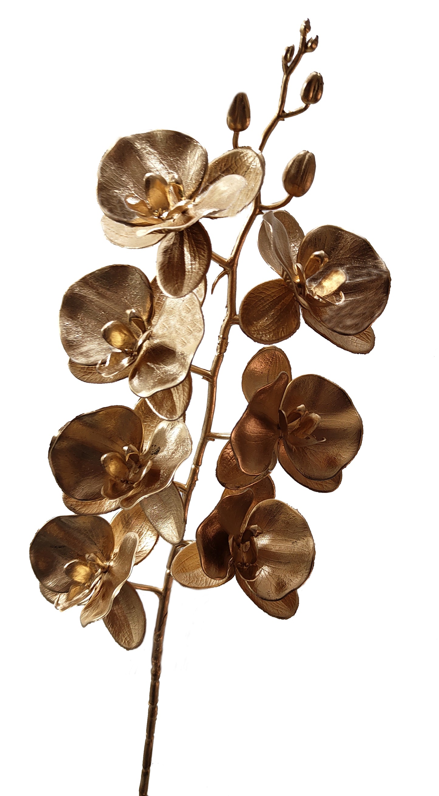 RAMO ORQUÍDEA DOURADA