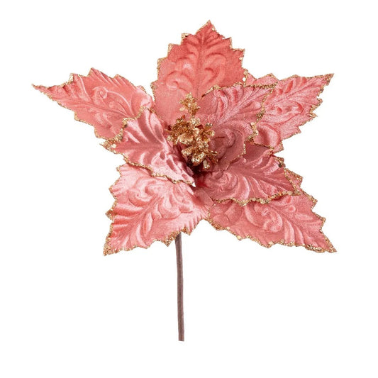 Flor Natal Rosa