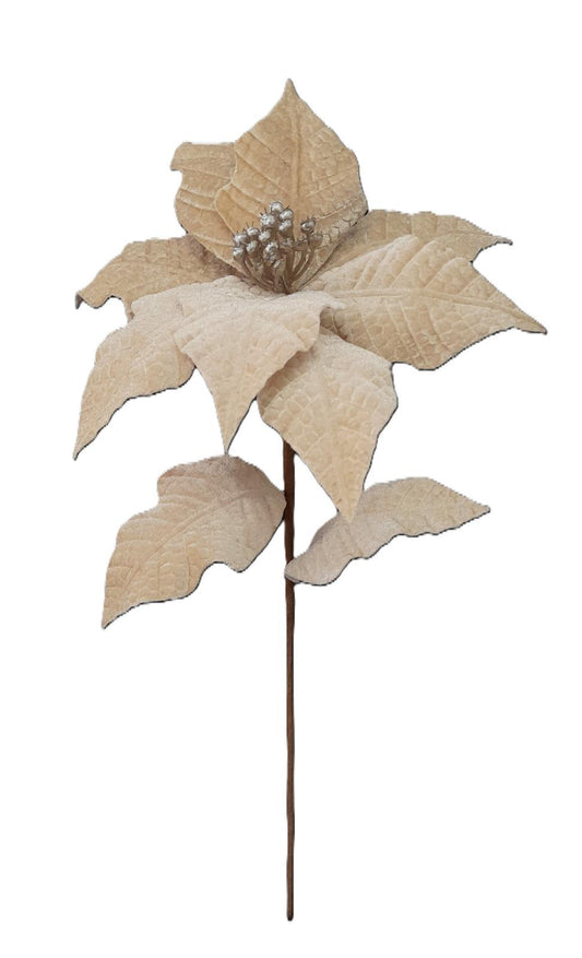 FLOR NATAL VELUDO