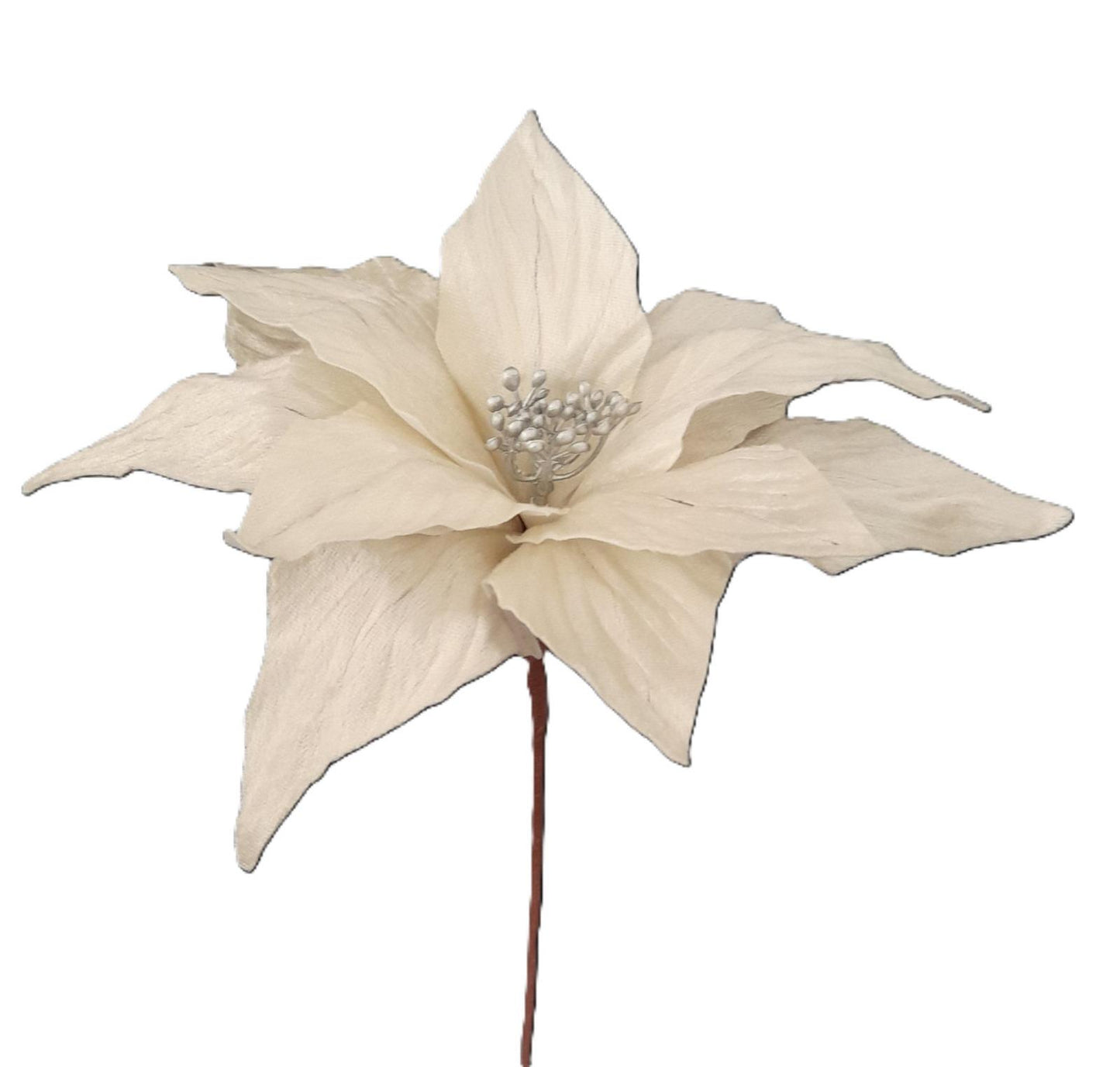 FLOR NATAL BRANCA