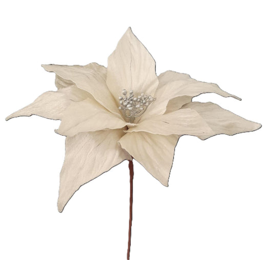 FLOR NATAL BRANCA