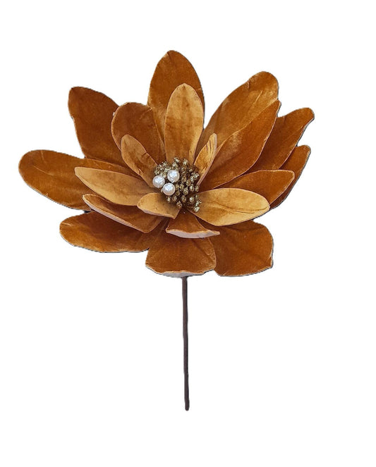 FLOR VELUDO DOURADO